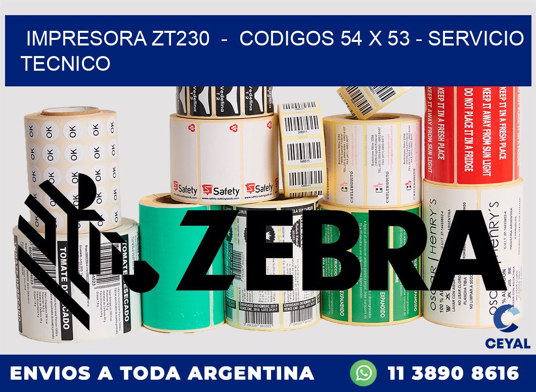 IMPRESORA ZT230  -  CODIGOS 54 x 53 - SERVICIO TECNICO