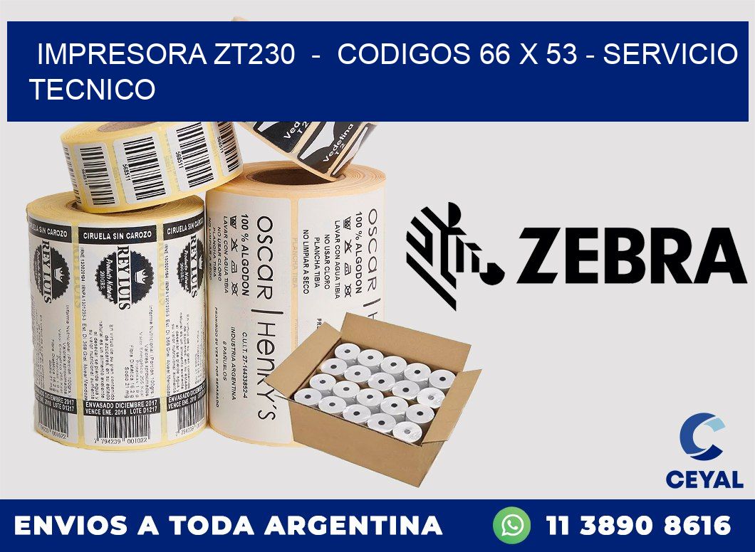 IMPRESORA ZT230  -  CODIGOS 66 x 53 - SERVICIO TECNICO