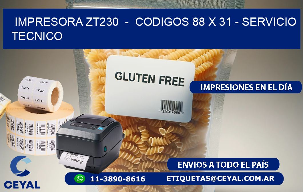 IMPRESORA ZT230  -  CODIGOS 88 x 31 - SERVICIO TECNICO