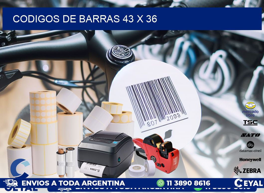 codigos de barras 43 x 36