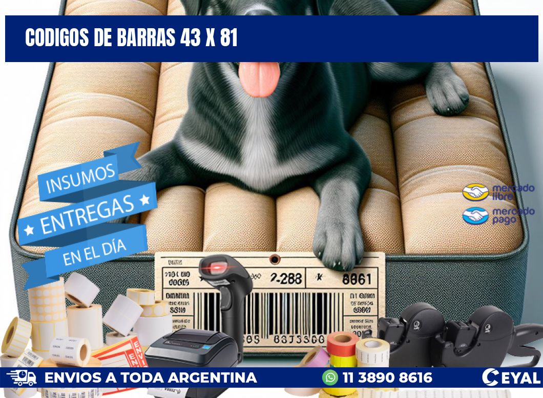codigos de barras 43 x 81