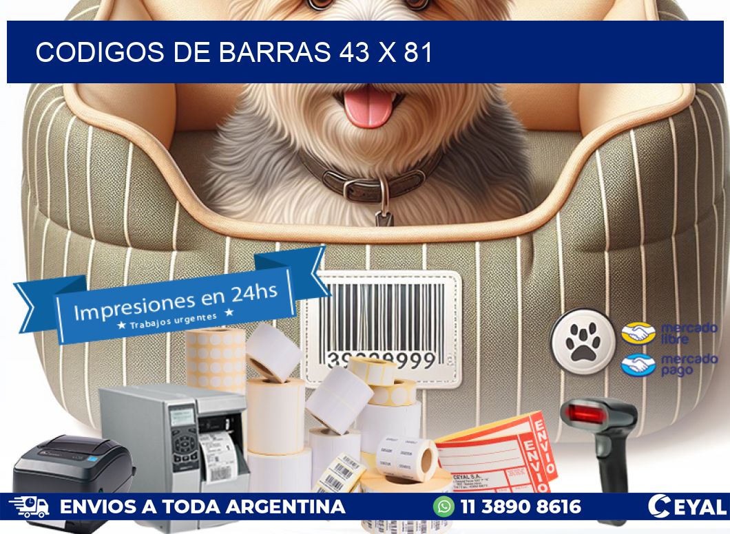 codigos de barras 43 x 81
