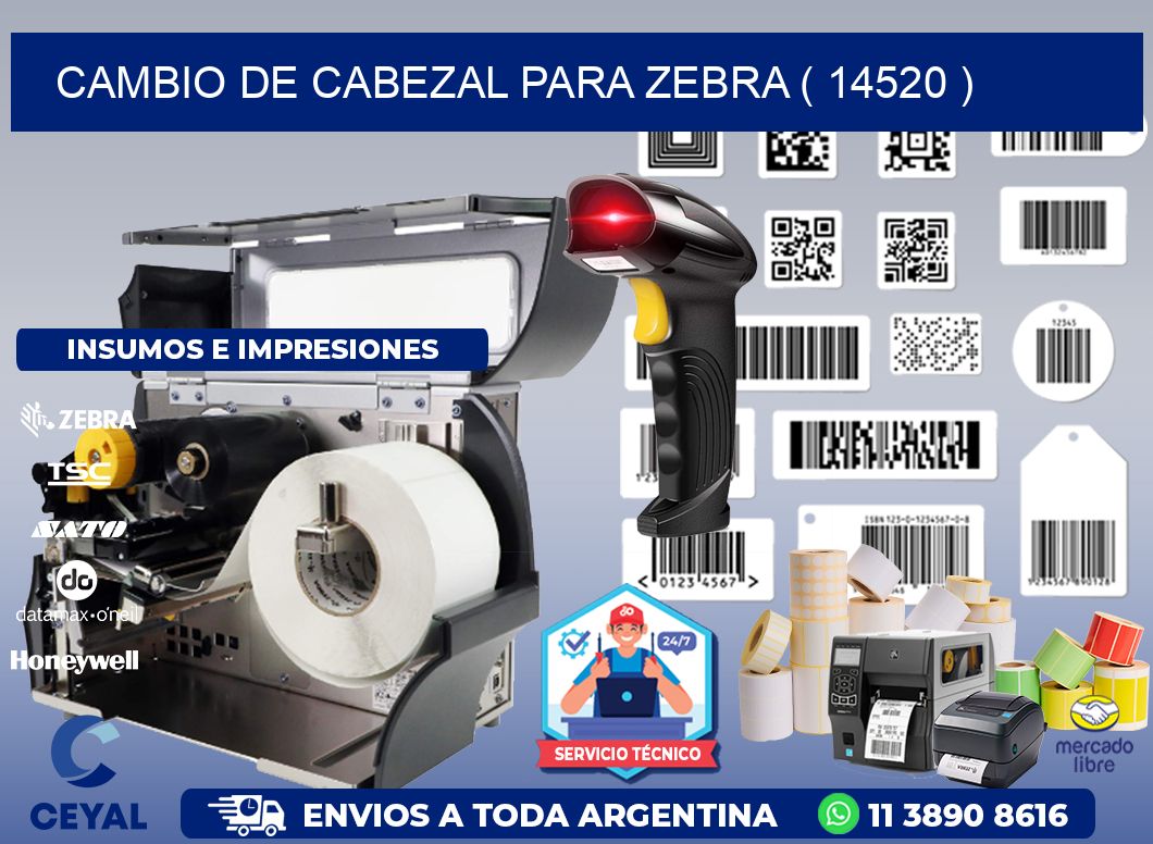 CAMBIO DE CABEZAL PARA ZEBRA ( 14520 )