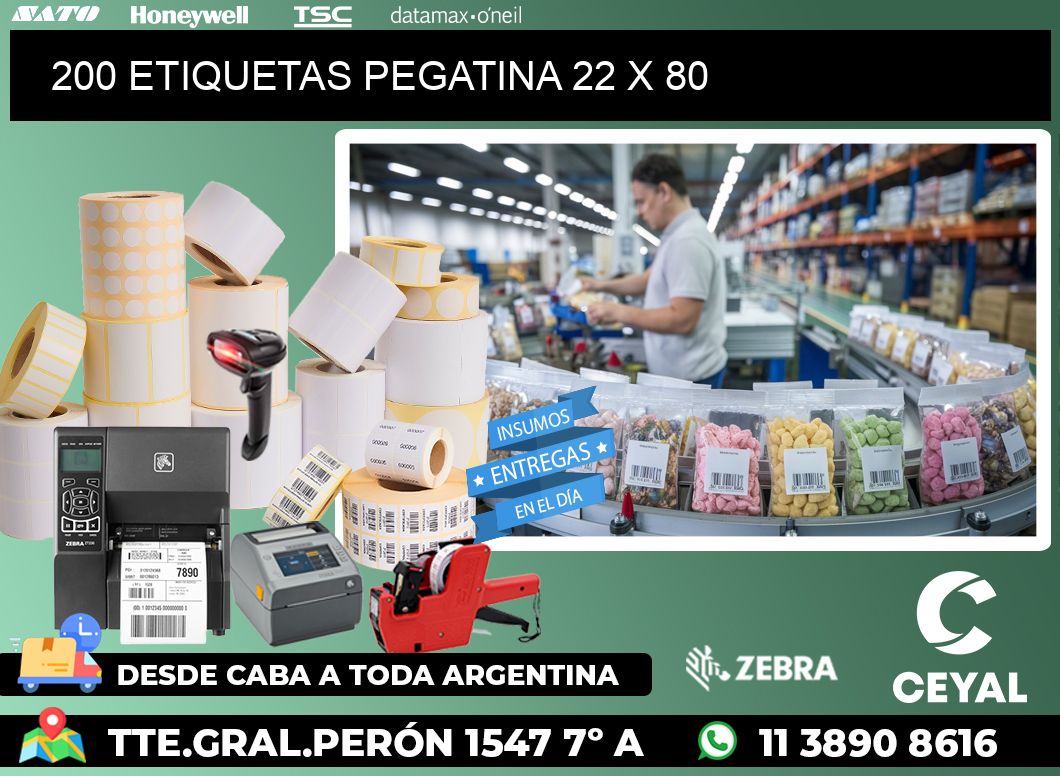 200 ETIQUETAS PEGATINA 22 x 80