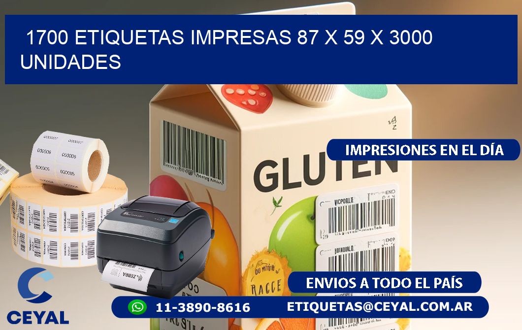 1700 ETIQUETAS IMPRESAS 87 x 59 X 3000 UNIDADES