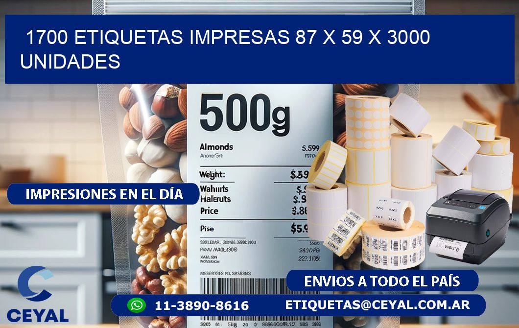 1700 ETIQUETAS IMPRESAS 87 x 59 X 3000 UNIDADES