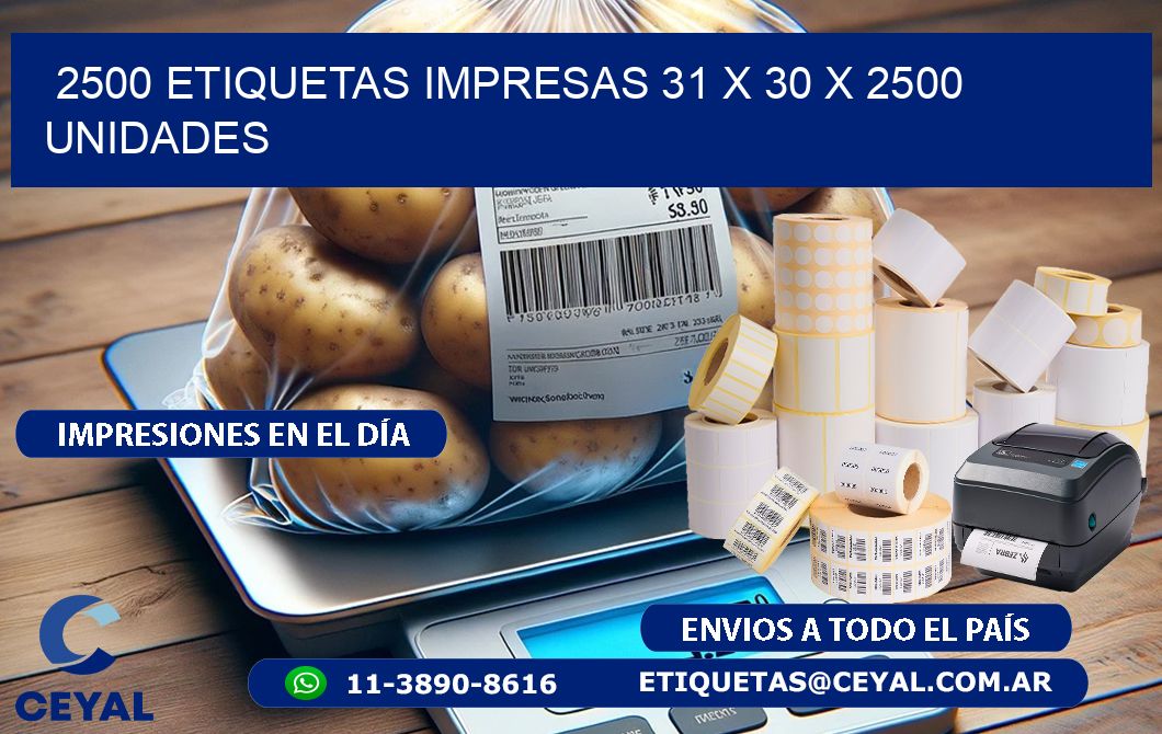 2500 ETIQUETAS IMPRESAS 31 x 30 X 2500 UNIDADES