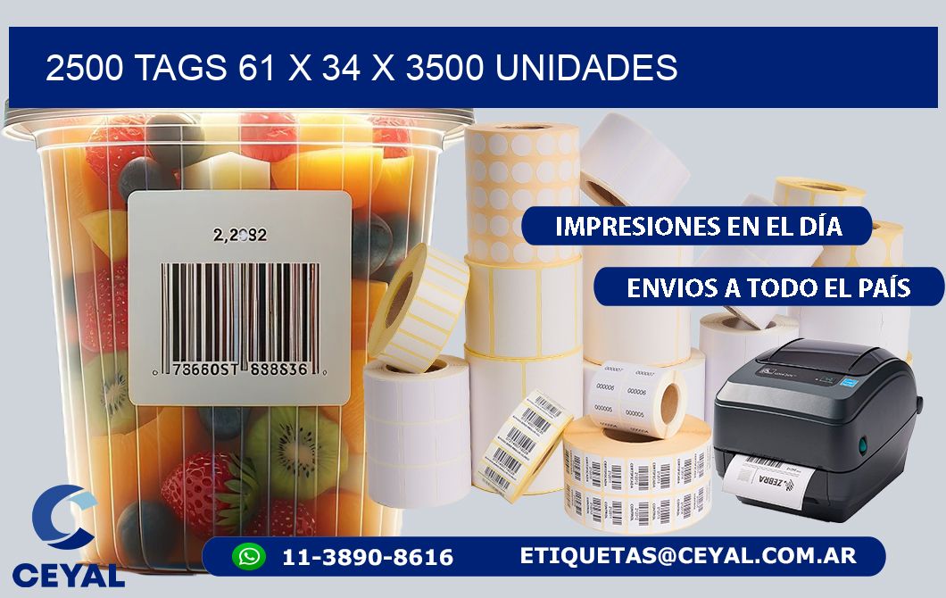 2500 TAGS 61 x 34 X 3500 UNIDADES