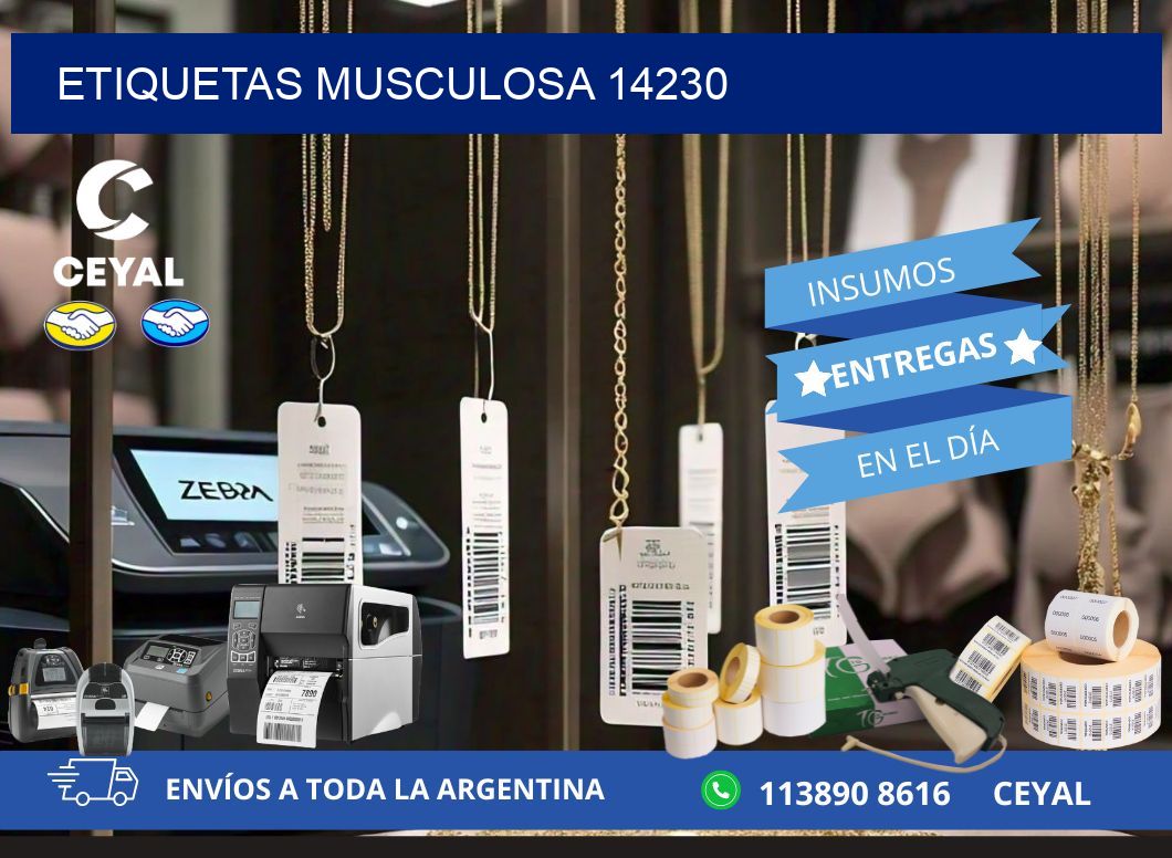 ETIQUETAS MUSCULOSA 14230
