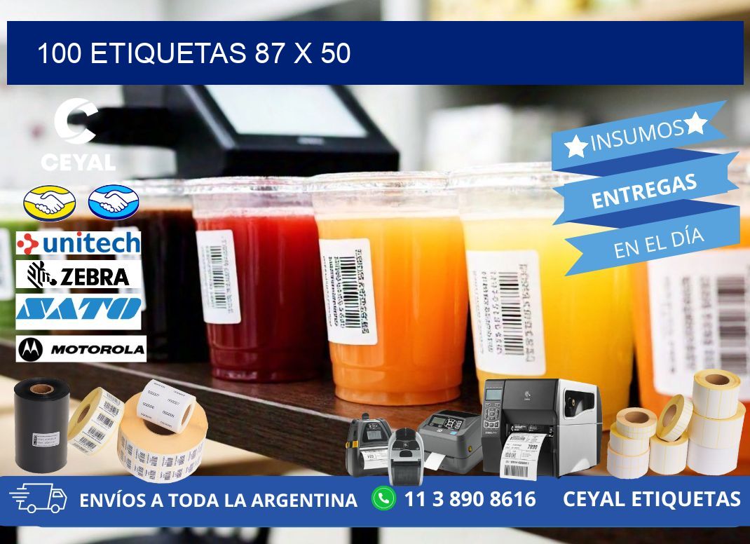 100 ETIQUETAS 87 x 50