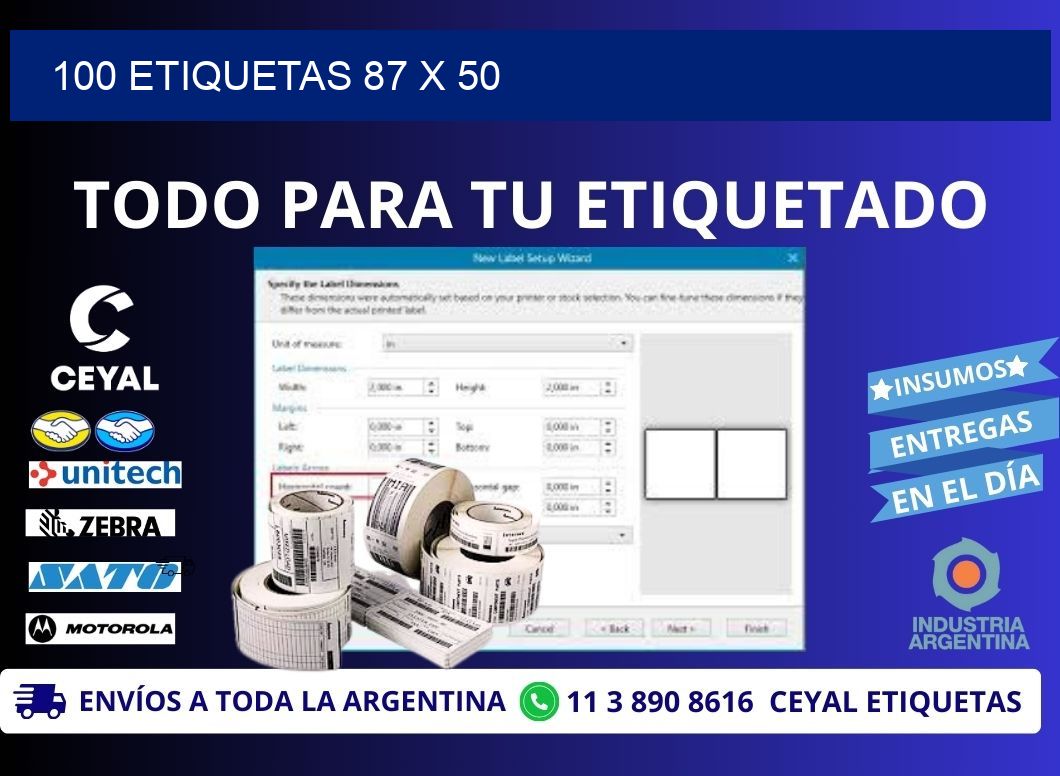 100 ETIQUETAS 87 x 50