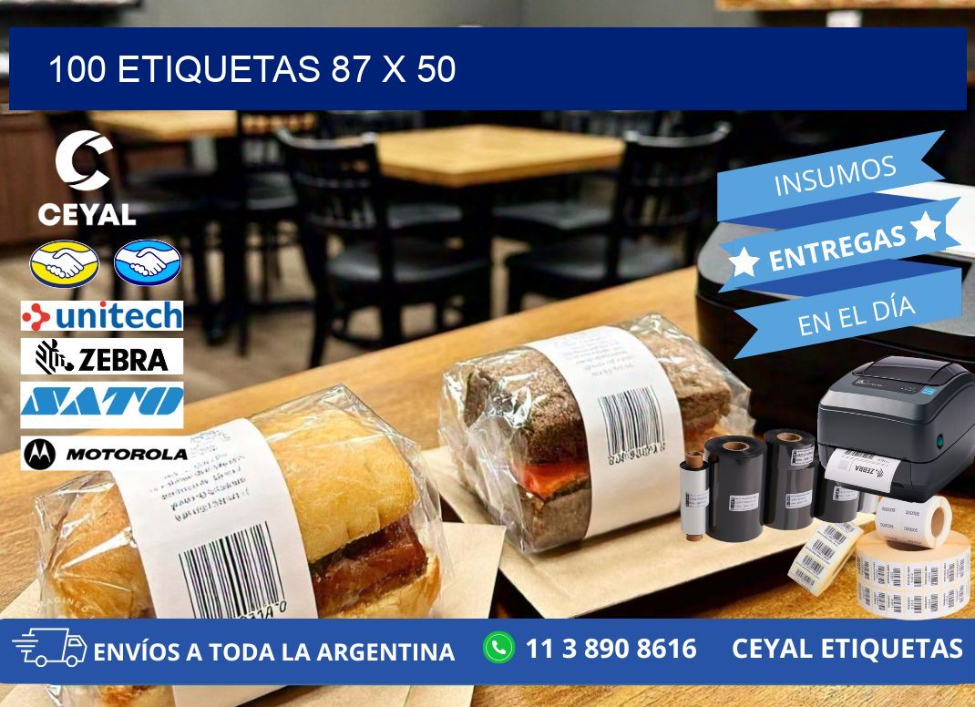 100 ETIQUETAS 87 x 50
