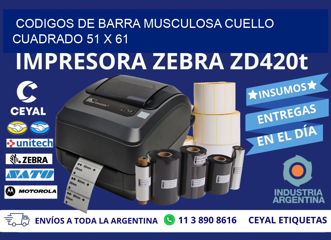 CODIGOS DE BARRA MUSCULOSA CUELLO CUADRADO 51 x 61