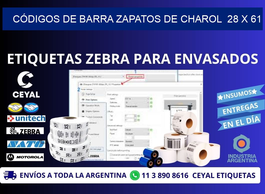 CÓDIGOS DE BARRA ZAPATOS DE CHAROL  28 x 61