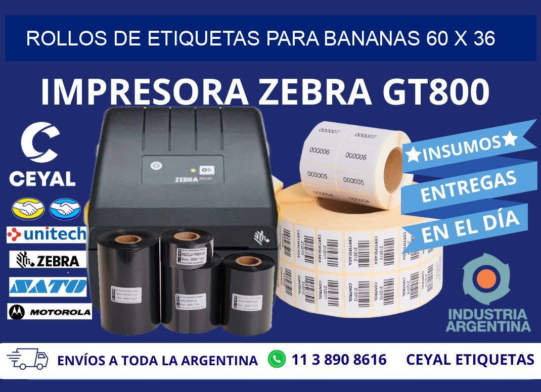 ROLLOS DE ETIQUETAS PARA BANANAS 60 x 36