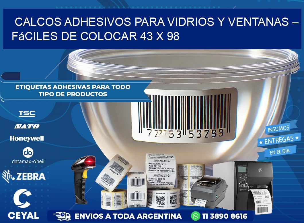 Calcos Adhesivos para Vidrios y Ventanas – Fáciles de Colocar 43 x 98