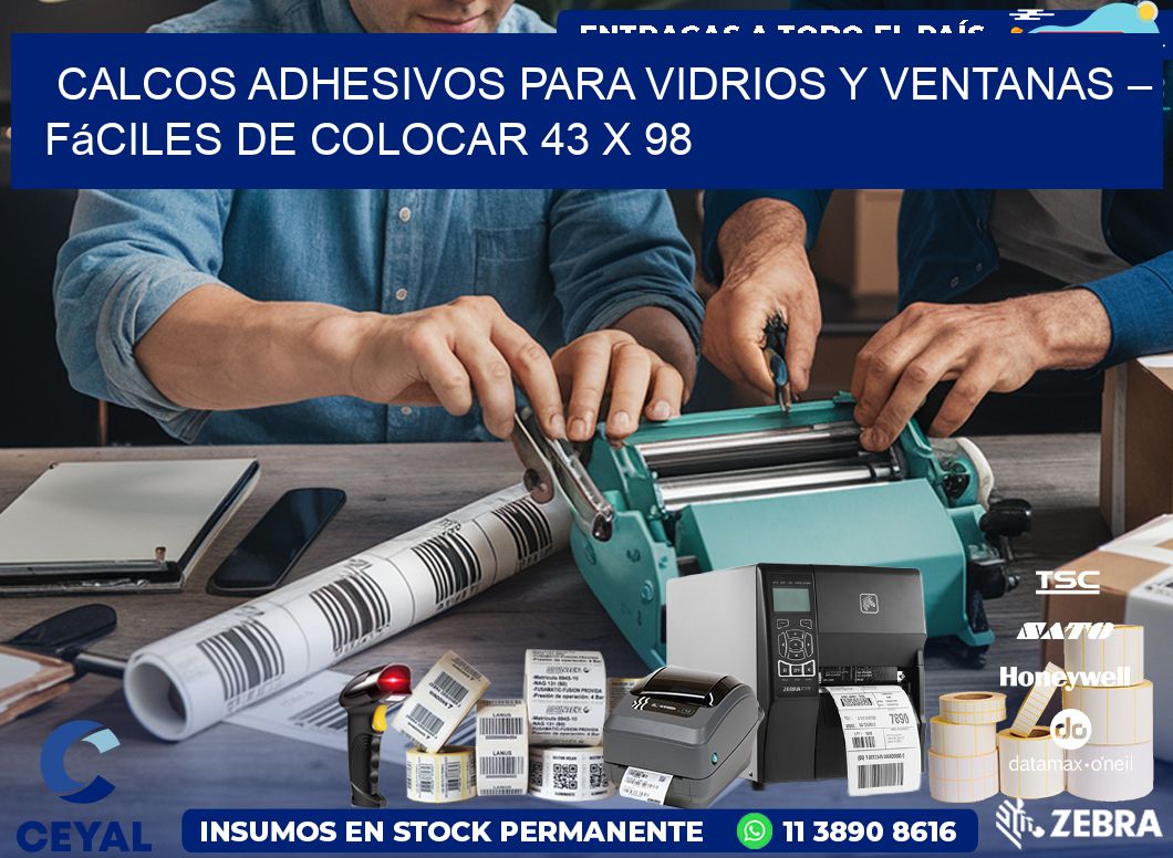 Calcos Adhesivos para Vidrios y Ventanas – Fáciles de Colocar 43 x 98