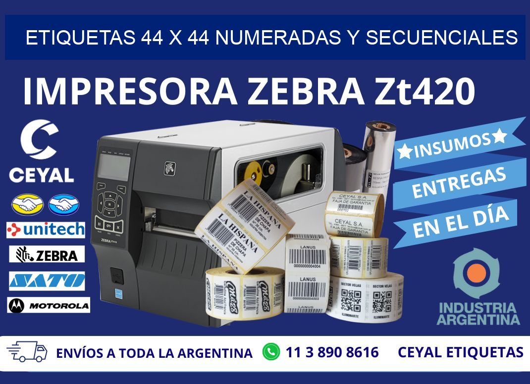 Etiquetas 44 x 44 Numeradas y Secuenciales