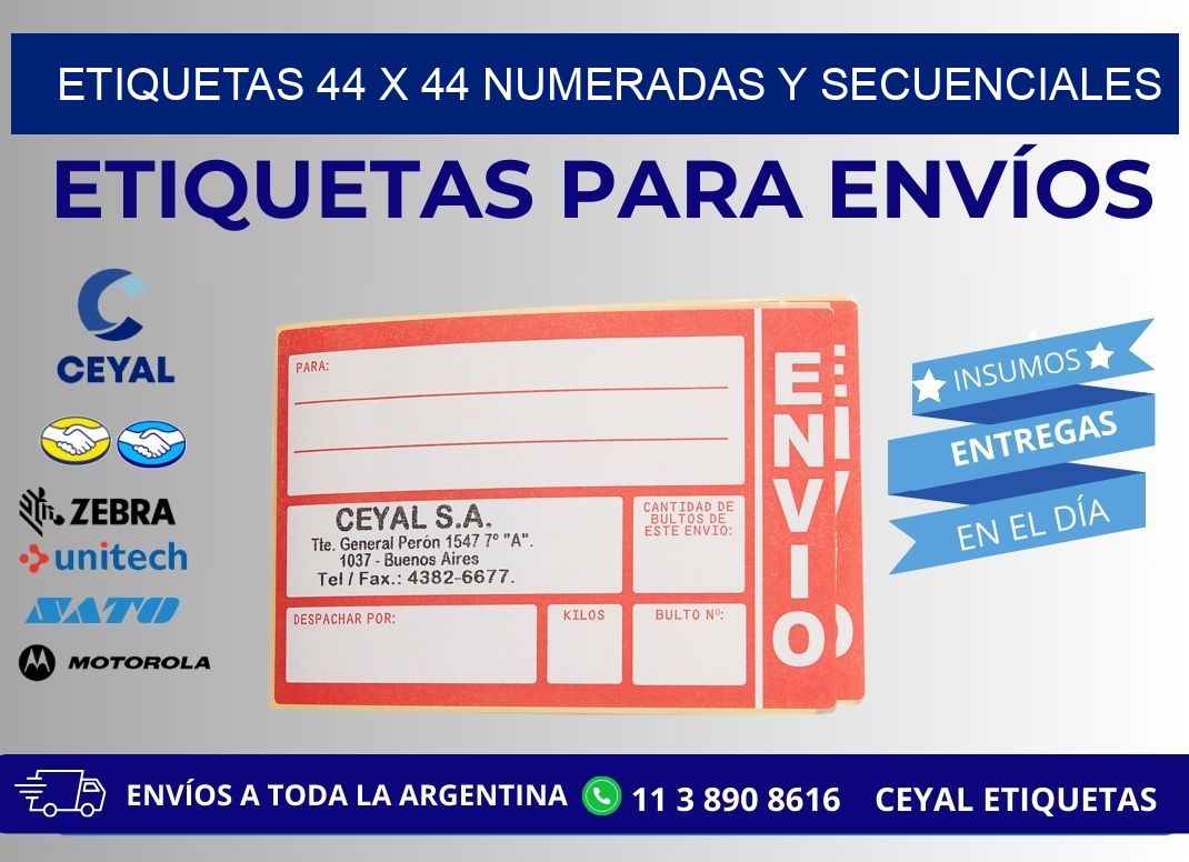 Etiquetas 44 x 44 Numeradas y Secuenciales