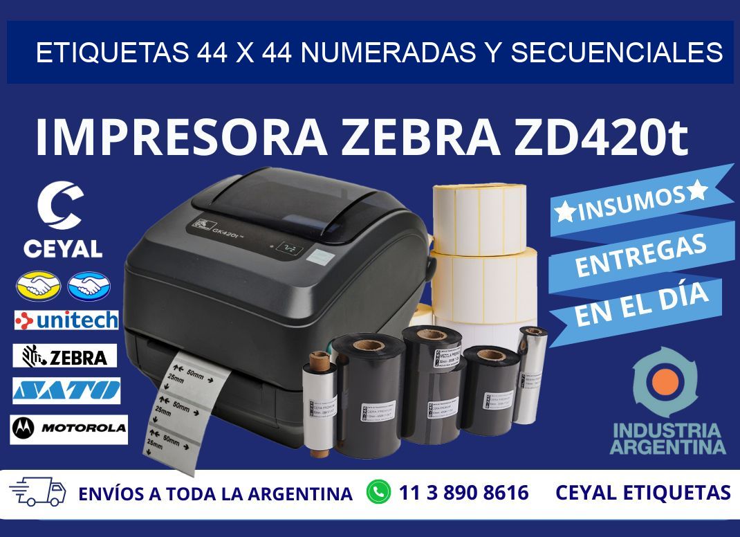 Etiquetas 44 x 44 Numeradas y Secuenciales