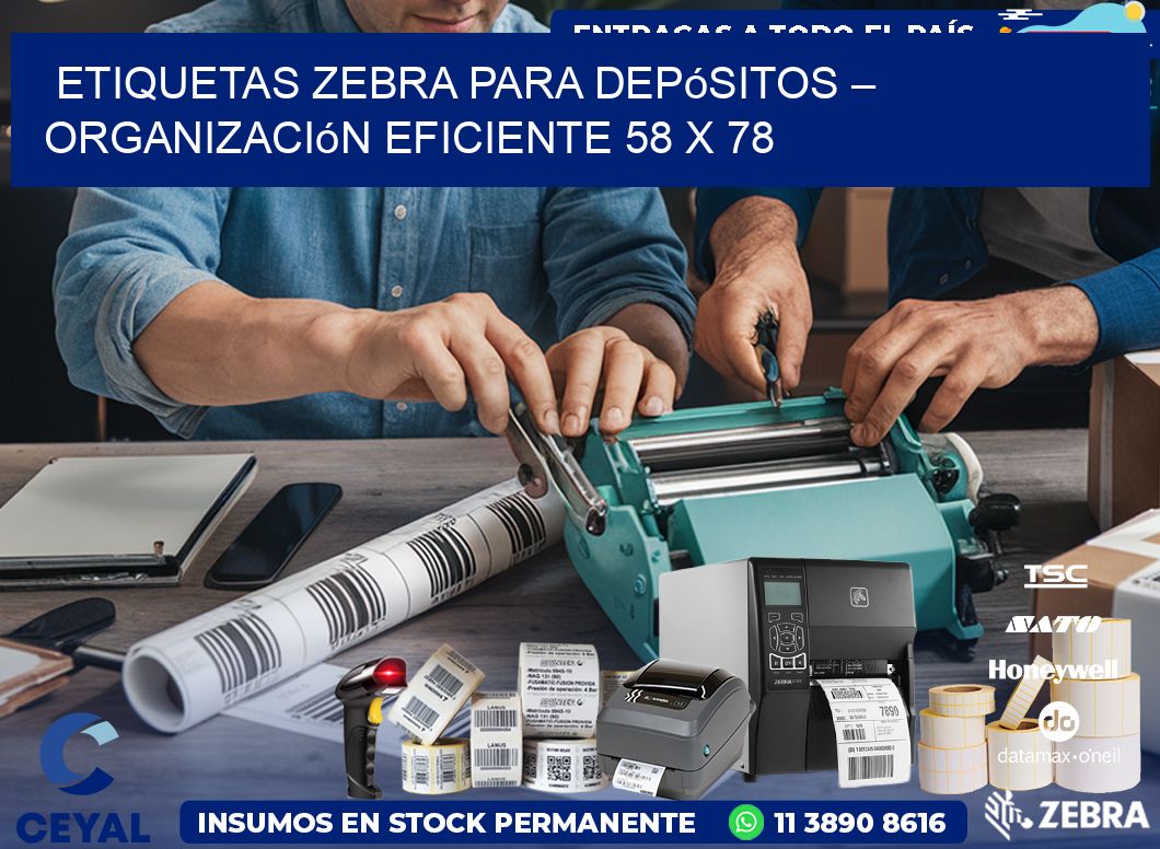 Etiquetas Zebra para Depósitos – Organización Eficiente 58 x 78