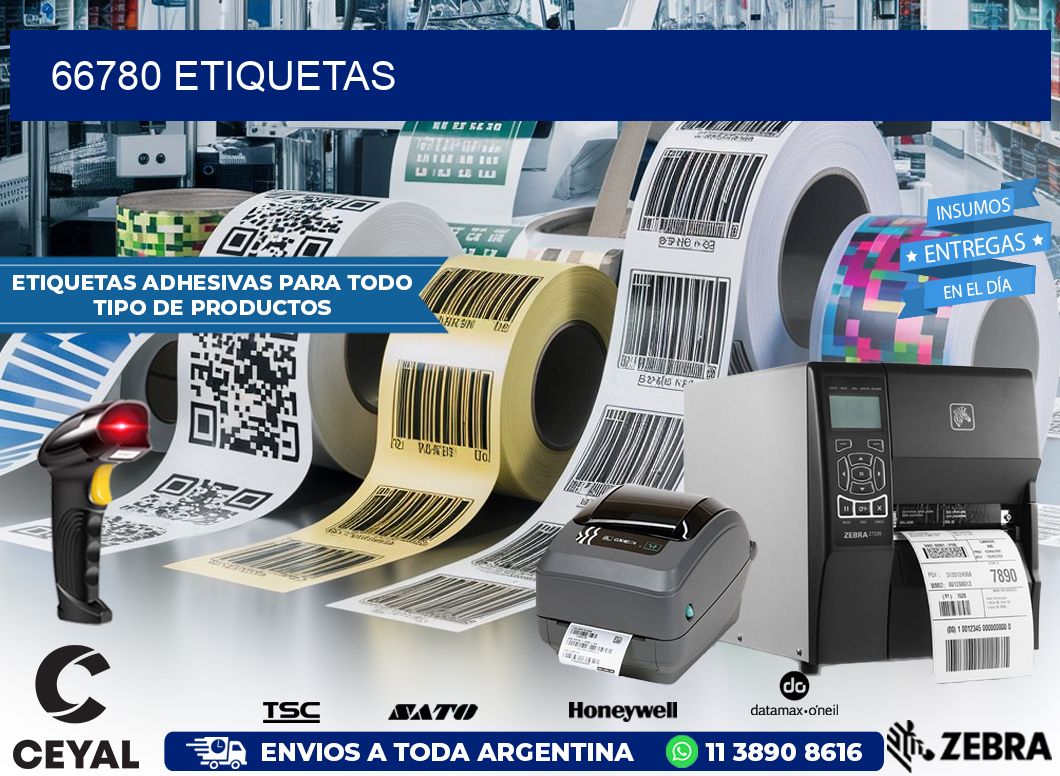 66780 ETIQUETAS
