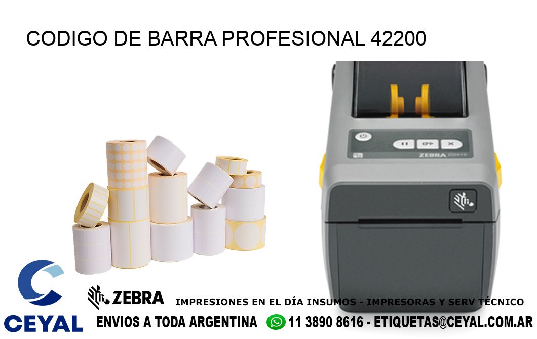 CODIGO DE BARRA PROFESIONAL 42200