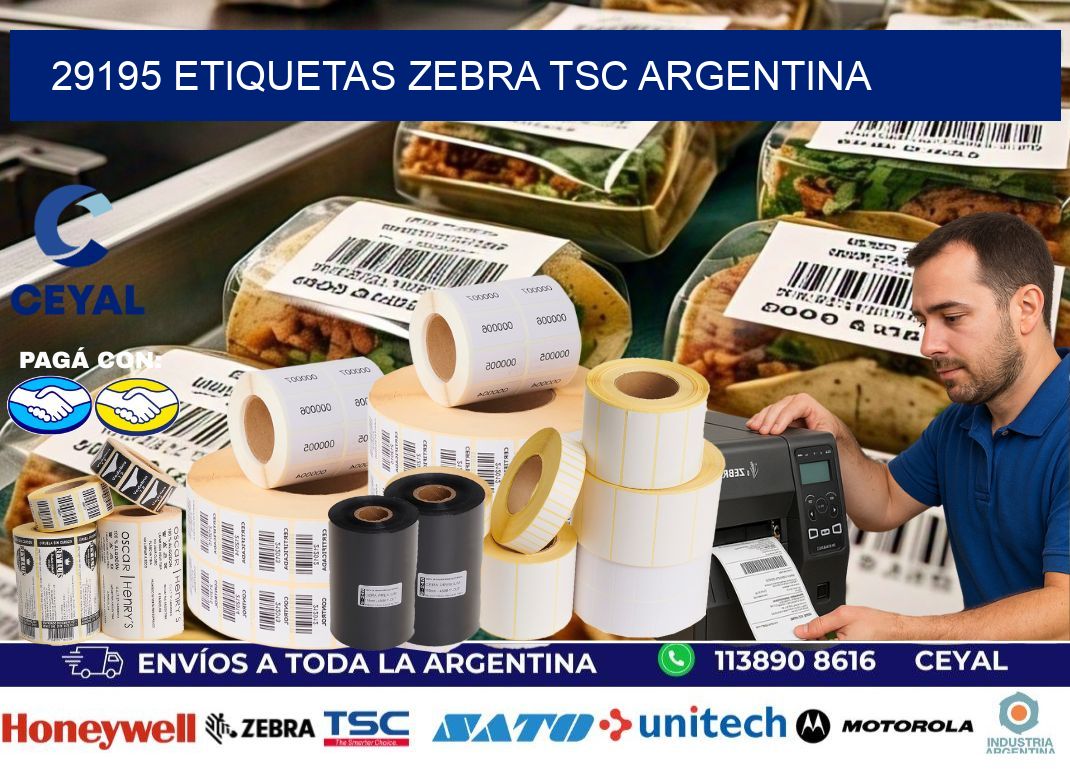 29195 etiquetas zebra tsc argentina