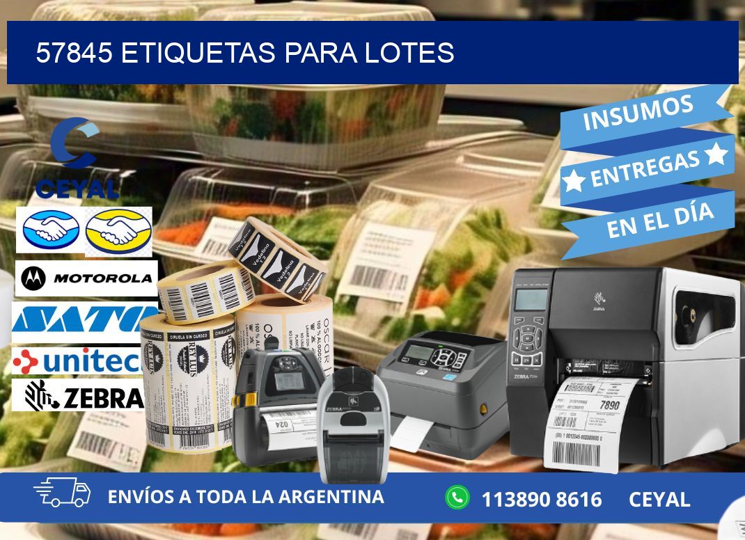 57845 ETIQUETAS PARA LOTES