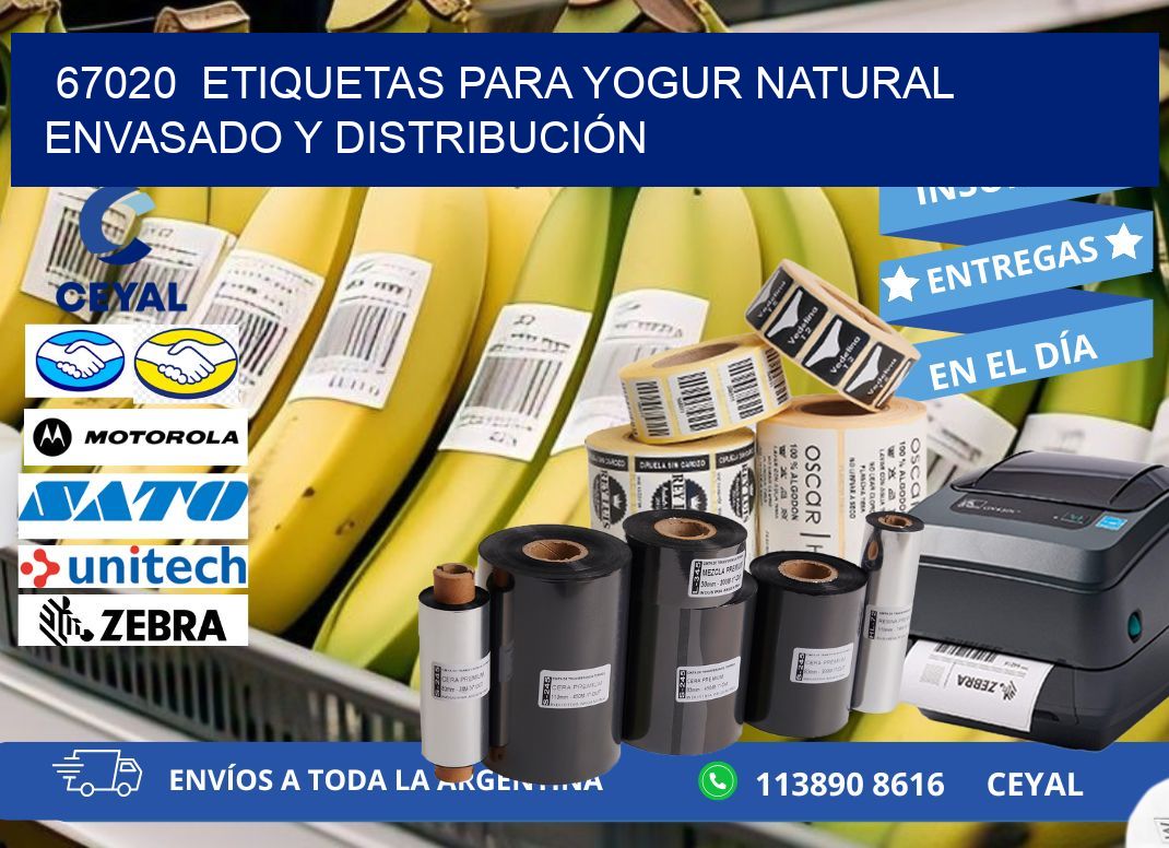 67020  ETIQUETAS PARA YOGUR NATURAL ENVASADO Y DISTRIBUCIÓN