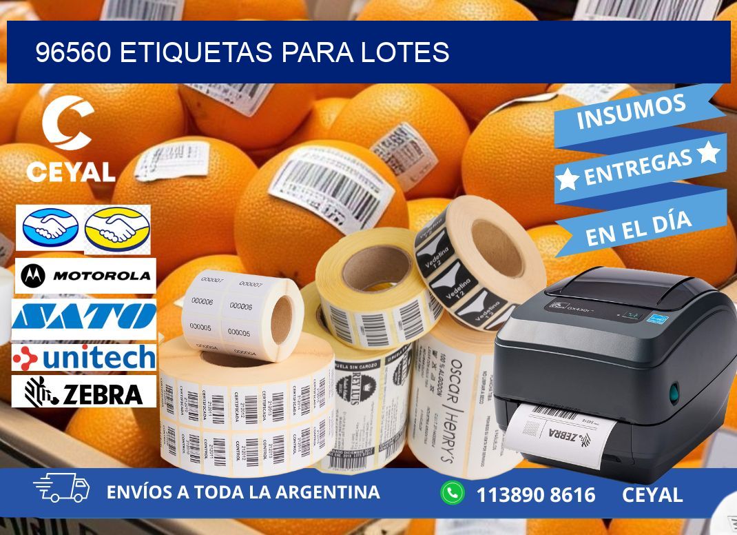96560 ETIQUETAS PARA LOTES