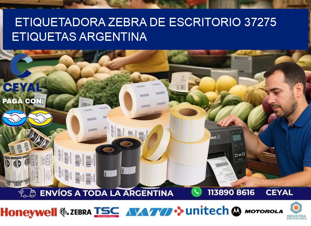 etiquetadora zebra de escritorio 37275 etiquetas argentina