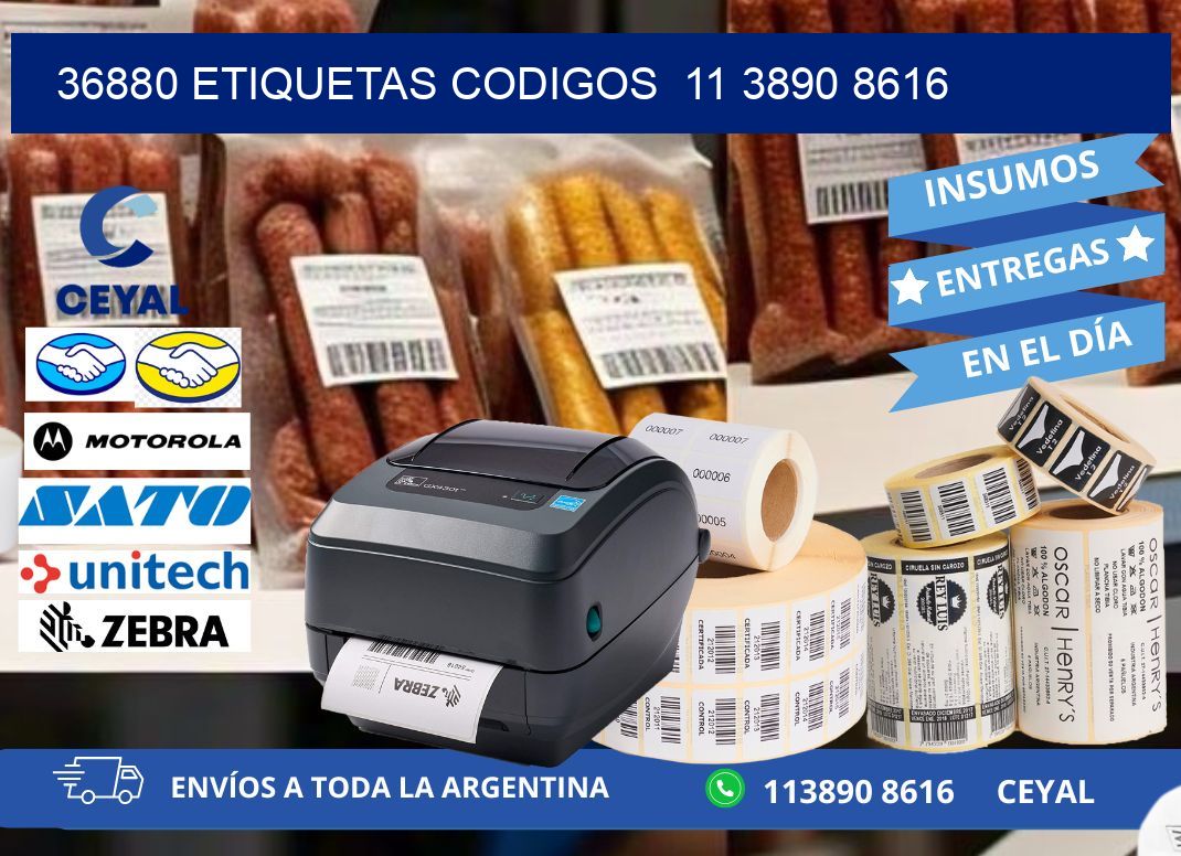 36880 ETIQUETAS CODIGOS 11 3890 8616
