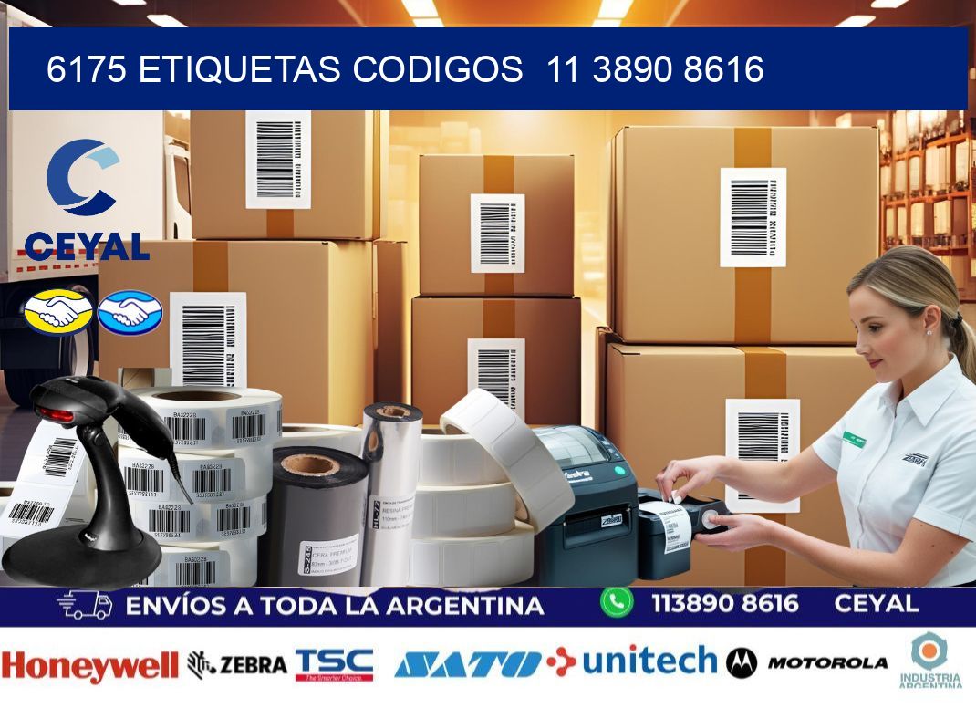6175 ETIQUETAS CODIGOS 11 3890 8616