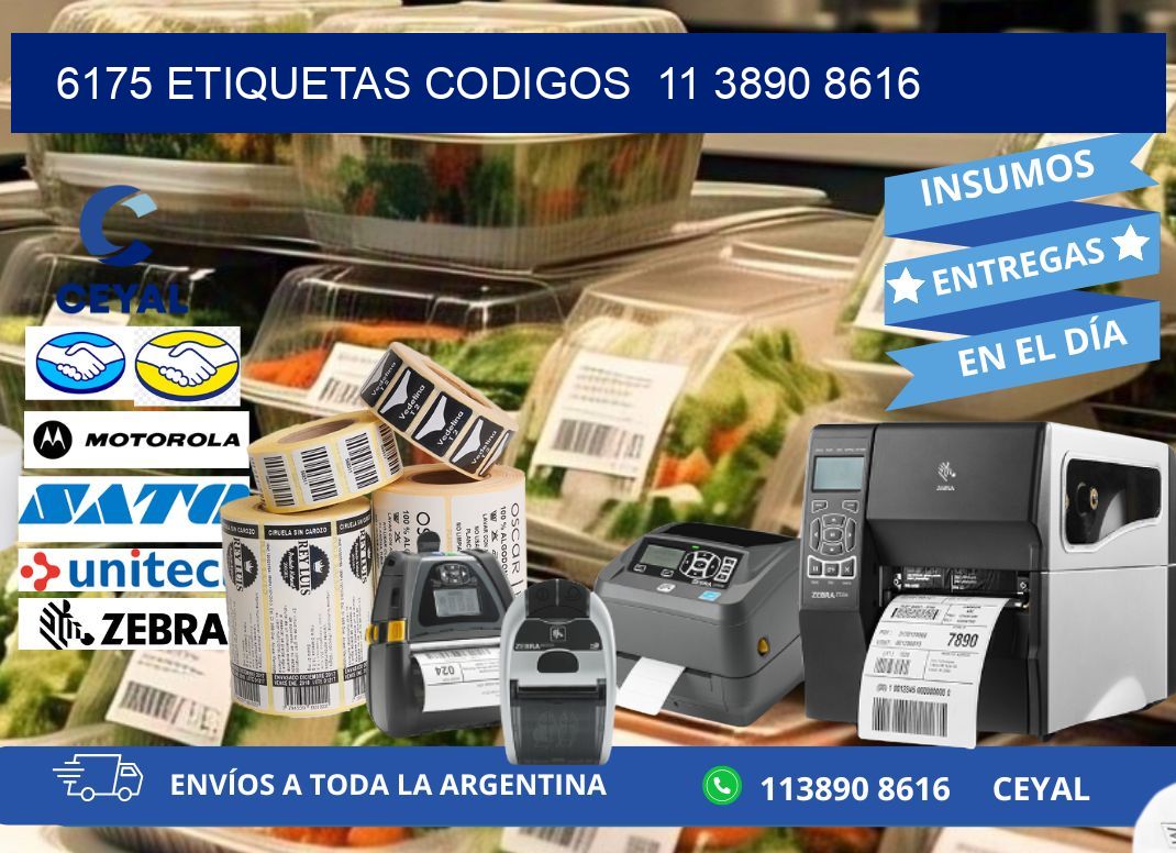 6175 ETIQUETAS CODIGOS 11 3890 8616