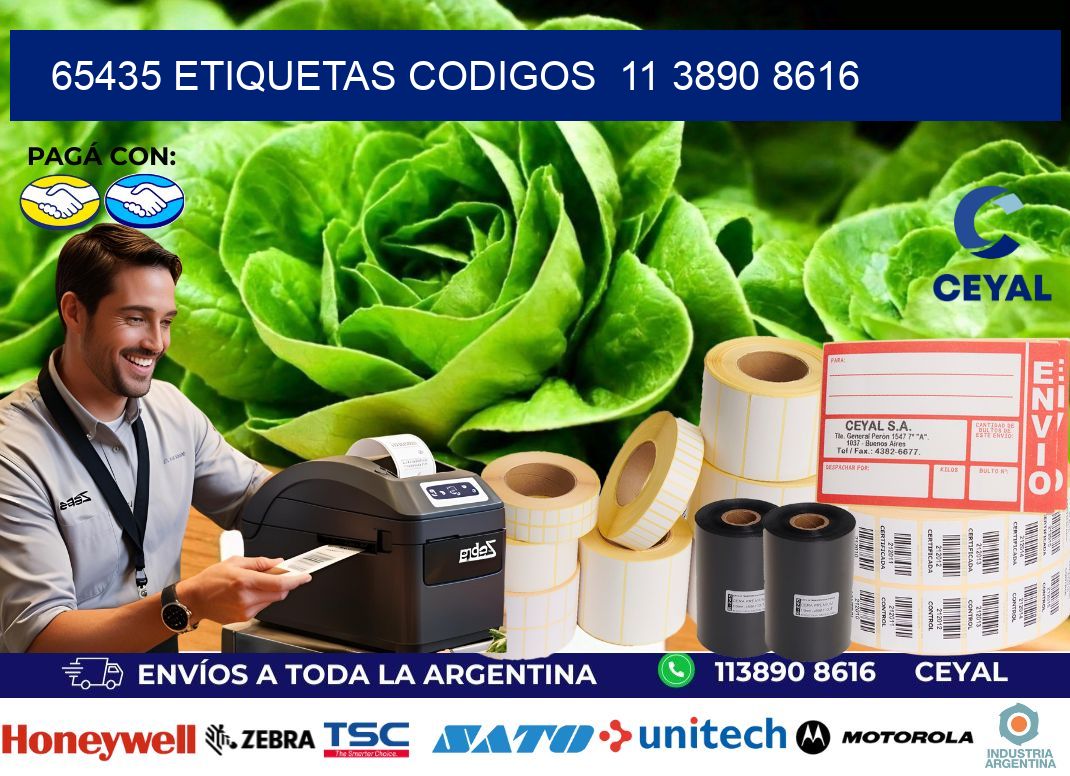 65435 ETIQUETAS CODIGOS 11 3890 8616