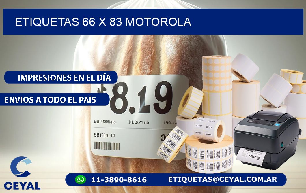 ETIQUETAS 66 x 83 MOTOROLA