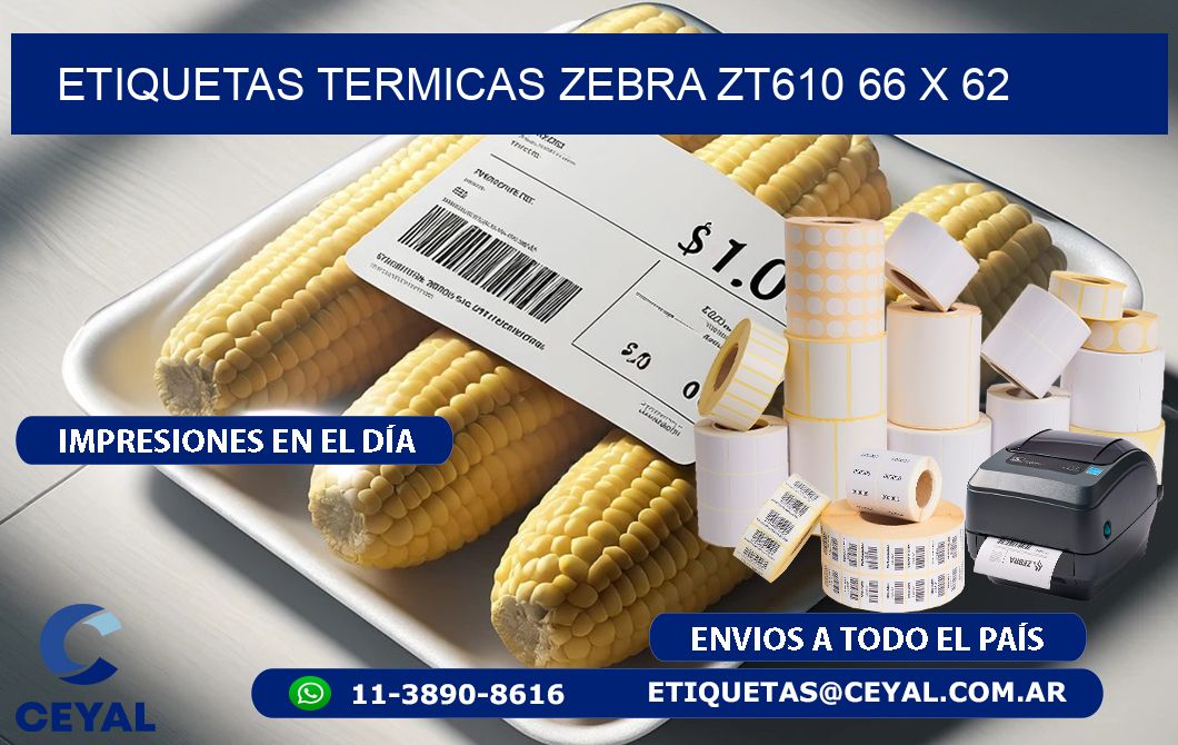 ETIQUETAS TERMICAS ZEBRA ZT610 66 x 62