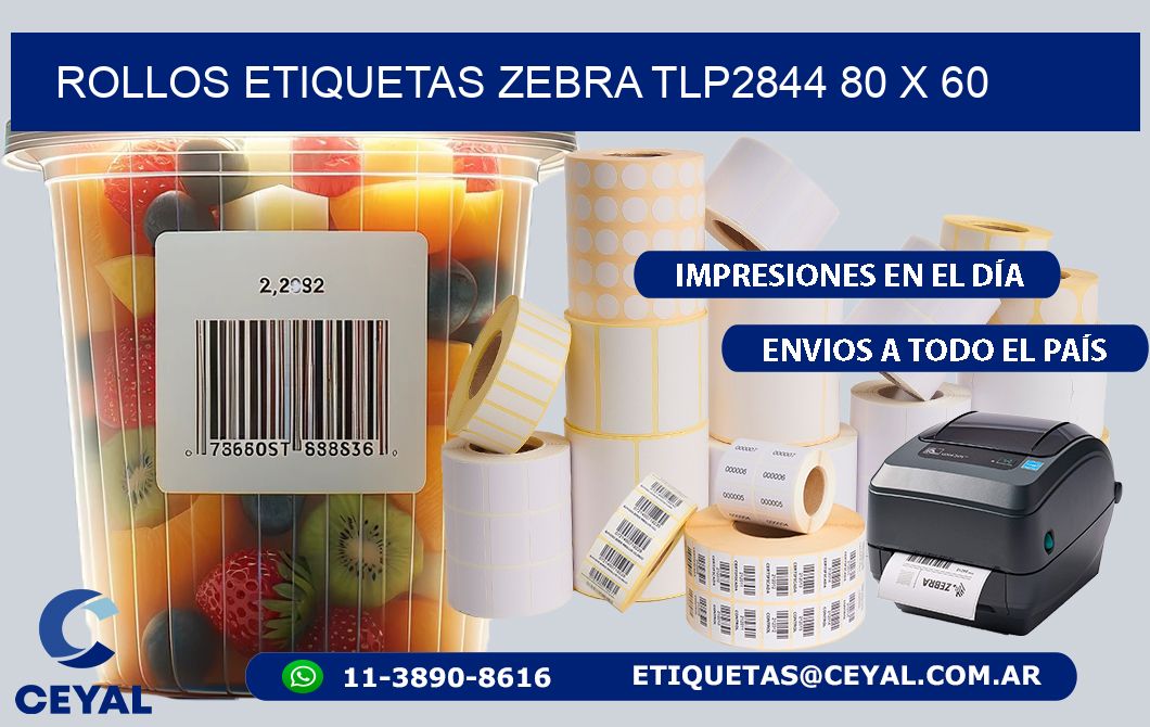 ROLLOS ETIQUETAS Zebra TLP2844 80 x 60