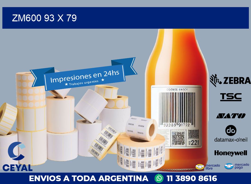 ZM600 93 x 79