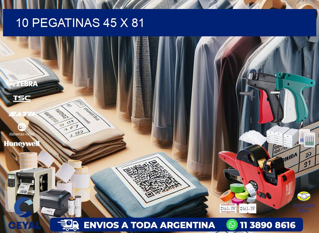 10 PEGATINAS 45 x 81