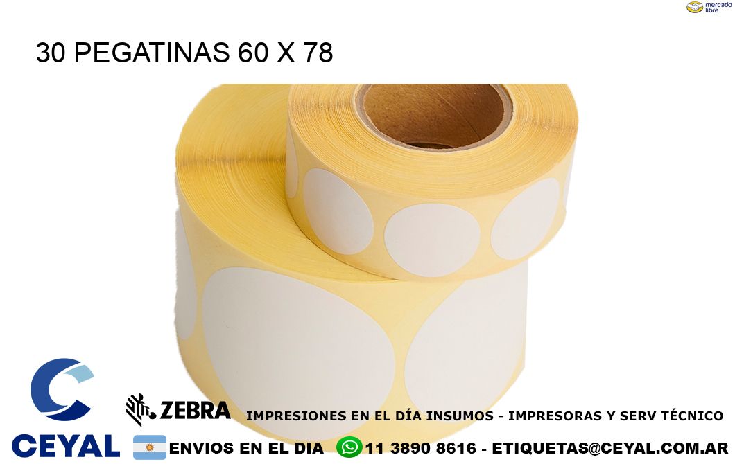30 PEGATINAS 60 x 78