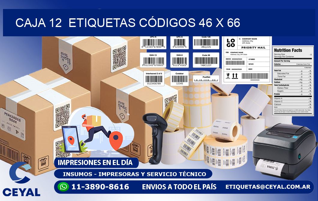 CAJA 12  ETIQUETAS CÓDIGOS 46 x 66