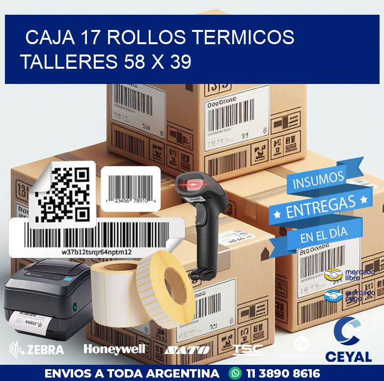 CAJA 17 ROLLOS TERMICOS TALLERES 58 x 39