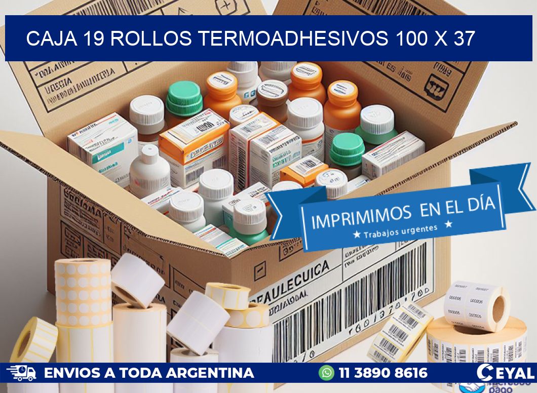 CAJA 19 ROLLOS TERMOADHESIVOS 100 x 37
