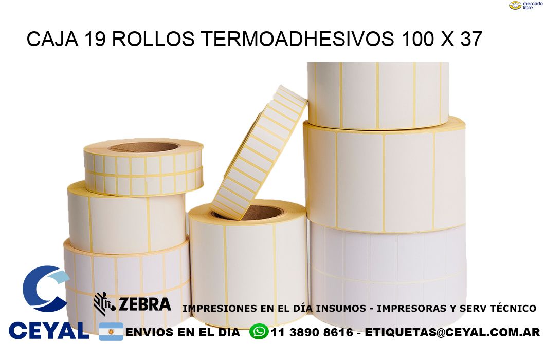 CAJA 19 ROLLOS TERMOADHESIVOS 100 x 37