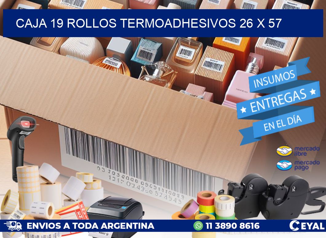 CAJA 19 ROLLOS TERMOADHESIVOS 26 x 57