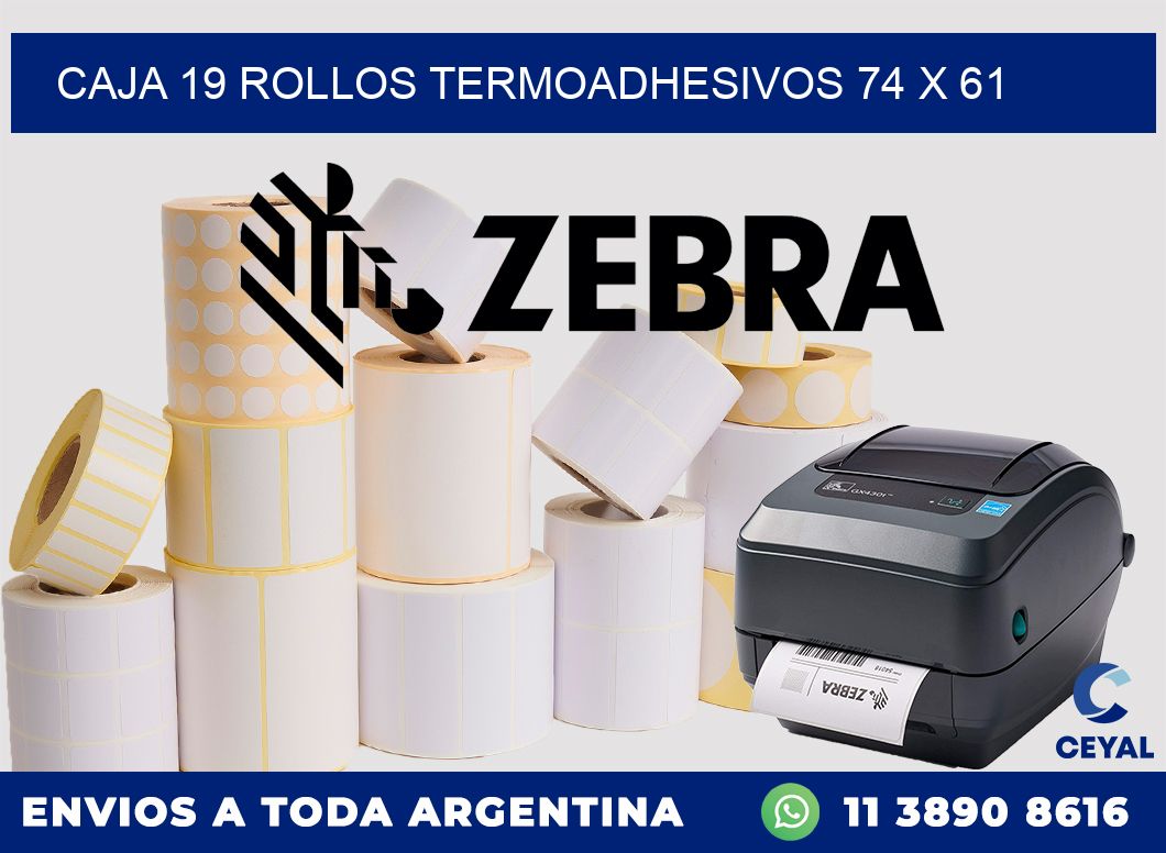 CAJA 19 ROLLOS TERMOADHESIVOS 74 x 61