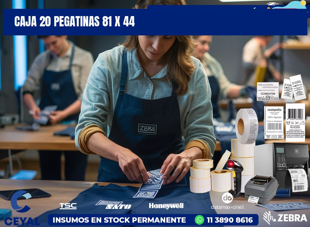 CAJA 20 PEGATINAS 81 x 44