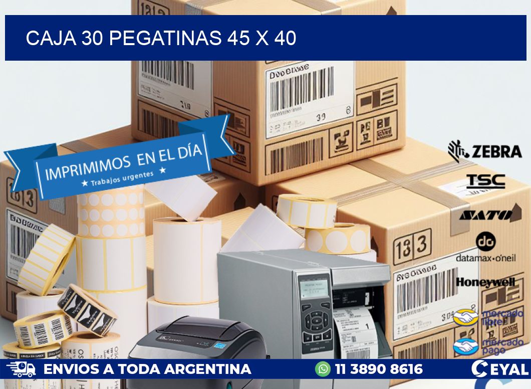 CAJA 30 PEGATINAS 45 x 40